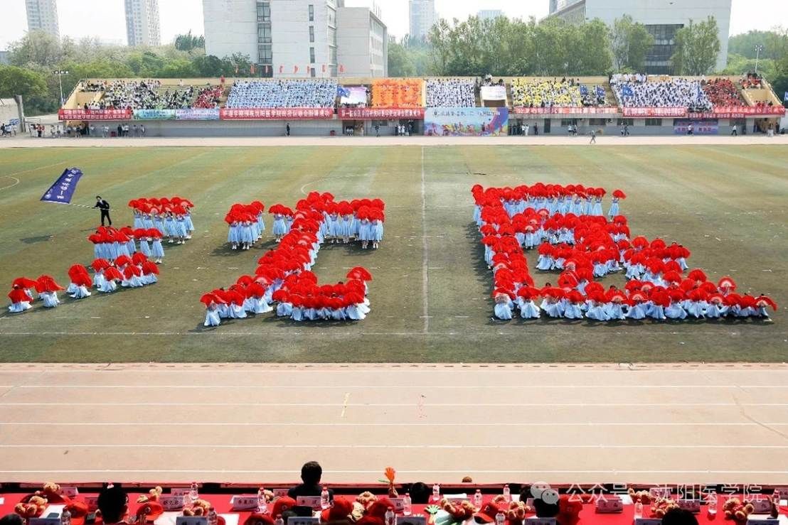 图片包含 路, 户外, 草, 人们 AI 生成的内容可能不正确。 图片包含 路, 户外, 草, 人们 AI 生成的内容可能不正确。